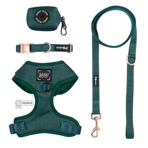 Dog Four Piece Bundle - Forest Quality Free Shipping Low Pice