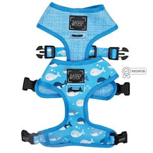 Dog Reversible Harness - Might as Whale Discount For Sale