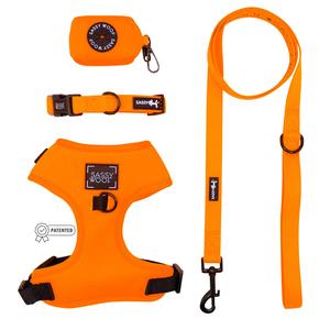 Dog Four Piece Bundle - Neon Orange New Arrival