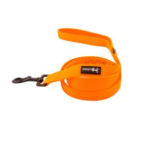 Dog Leash - Neon Orange Wide Range Of Cheap Online