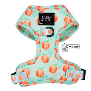 Dog Adjustable Harness - Peach Please Free Shipping Low Pice Fee Shipping