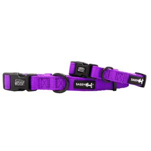 Dog Collar - Neon Purple Clearance Purchase
