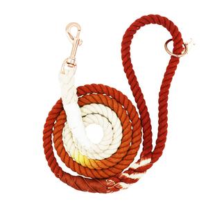 Dog Rope Leash - Ombre Orange Outlet Online Shop