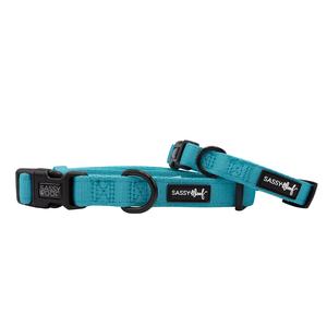 Dog Collar - Neon Blue Free Shipping Manchester Great Sale