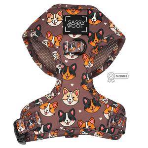 Dog Adjustable Harness - Cuddly Corgis Outlet Low Pice Fee Shipping