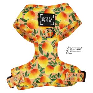 Dog Adjustable Harness - Mango Tango Cheap Tumblr