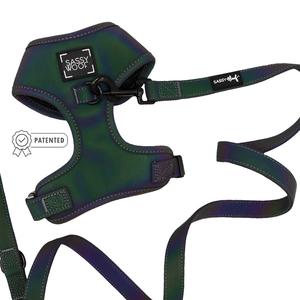 Dog Two Piece Bundle - Reflection Free Shipping With Paypal