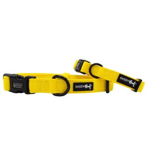 Dog Collar - Neon Yellow Best Sale For Sale