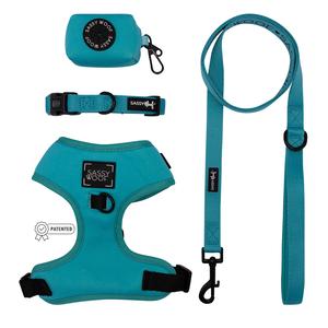 Dog Four Piece Bundle - Neon Blue Pictures Online