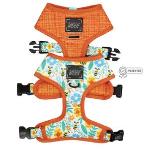 Dog Reversible Harness - Must be the Honey With Credit Card