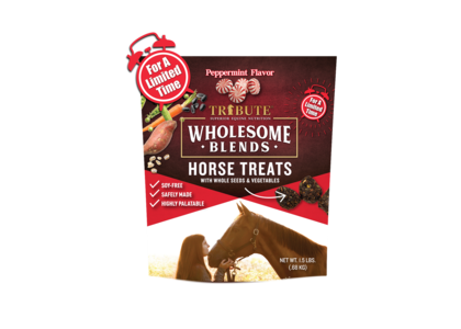 Peppermint Wholesome Blends® Horse Treats Clearance Geniue Stockist