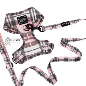 Dog Two Piece Bundle - Pawberry Sale Deals