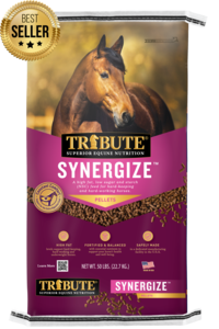 Synergize®, Low NSC, High Fat Pelleted Horse Feed Free Shipping Original