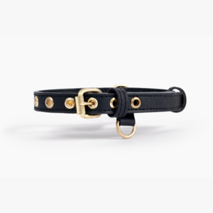 Cactus Leather Collar - Black Browse