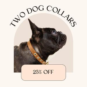 Two Collar Bundle Cheap Supply
