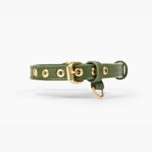 Cactus Leather Collar - Green Outlet 100% Authentic