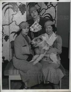1933 Press Photo Society worked on Doggy Fashion Show for Neurological Institute Discount Online
