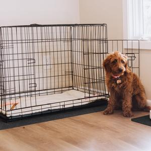 G-Floor® Drip & Dry Kennel Mat With Mastercard Online