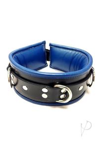 3-ring Padded Collar Blk/blu Original Cheap Pice