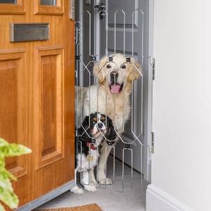 DOG-G8 Front Doors Cheap With Paypal