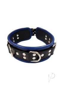 5 D Ring Collar Black/blue Very Cheap Sale Online