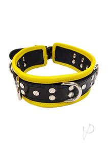 5 D Ring Collar Black/yellow Clearance Fast Delivery