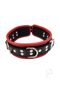 5 D Ring Collar Black/red Discount 2025 New