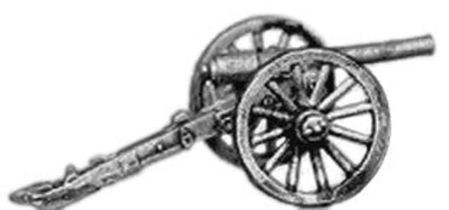 (AB-ACW091) 10lb Parrot Cheap Outlet Locations