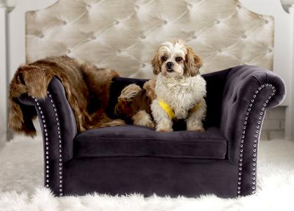 Dachshund Pet Bed - Luxurious Handmade Velvet with Removable Cushion & Stylish Nail Head Trim Supply Online