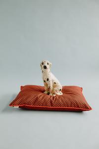 Medium Pet Cushion - Postbox & Meteorite - Skinny check Cheap Sale For Cheap