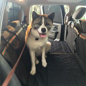 TRUCK Dog Car Seat Covers - Designer Edition Free Shipping Get Authentic