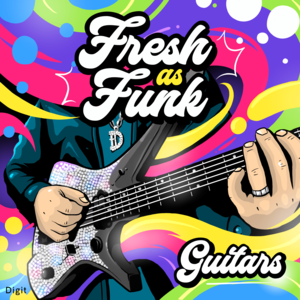 Fresh as Funk Guitars Free Shipping Eastbay