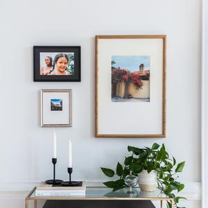 The Eclectic Trio Free Shipping Fake