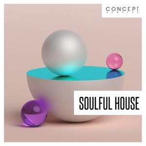 Soulful House For Nice Cheap Price