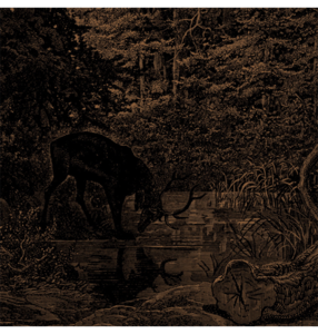 AGALLOCH – 'Of Stone, Wind & Pillor' CD Cheap For Nice
