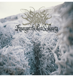 SIGNS OF THE SWARM - 'Amongst The Low & Empty' CD Discount Outlet Store