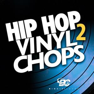 Hip Hop Vinyl Chops 2 2025 Newest