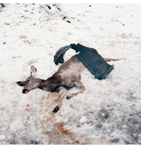 WHITE WARD - 'Debemur Morti' CD Cheap Sale Footlocker Finishline