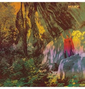 WAKE - 'Thought Form Descent' CD Discount Fast Delivery