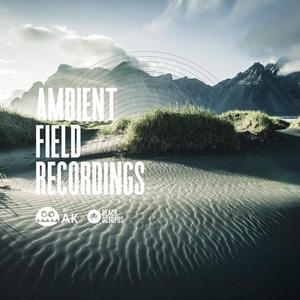 Ambient Field Recordings Footlocker Pictures Cheap Online