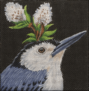 Stephan Nuthatch For Sale Free Shipping