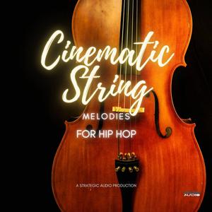Cinematic String Melodies for Hip Hop Pay With Visa