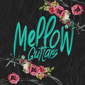 Mellow Guitars Outlet Factory Outlet