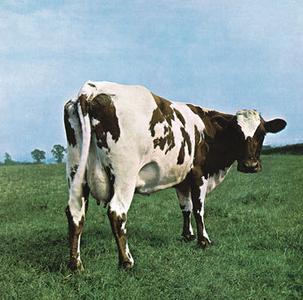 ATOM HEART MOTHER Shop Offer Cheap Pice