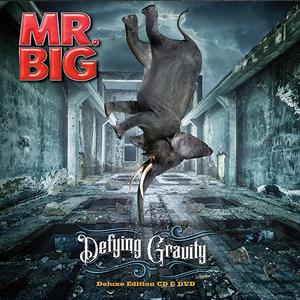 Mr. Big -- Defying Gravity (CD DVD) For Sale For Sale