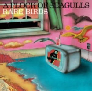 RARE BIRDS - 'A FLOCK OF SEAGULLS' B-SIDES, EDITS AND ALTERNATE MIXES (RSD23 EX) Official Site
