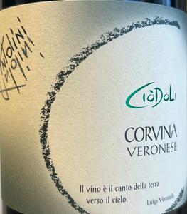 Antolini - Corvina Classic For Sale