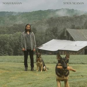 Noah Kahan - Stick Season LP Best Wholesale Online