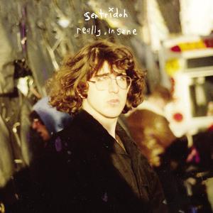 Sentridoh - Really Insane - A Lou Barlow Compendium LP Visa Payment For Sale