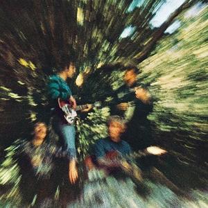 Creedence Clearwater Revival - Bayou Country (Half Speed Master) Sale Cost
